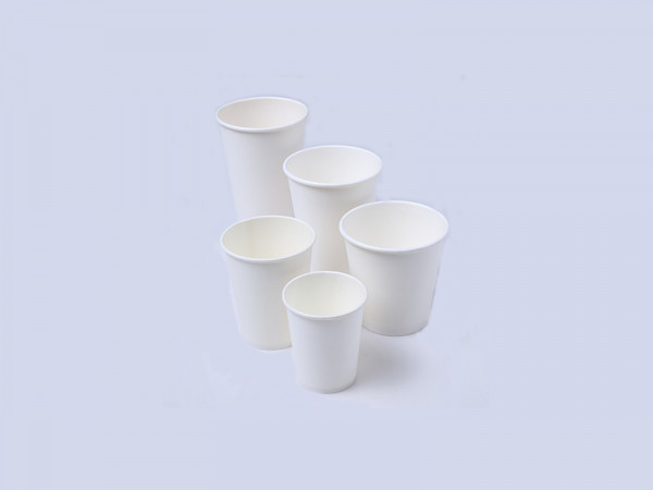 Disposable Paper Cups Professional Supplier | Rosenpack