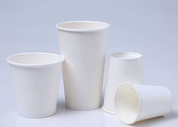 The Best Disposable Cups