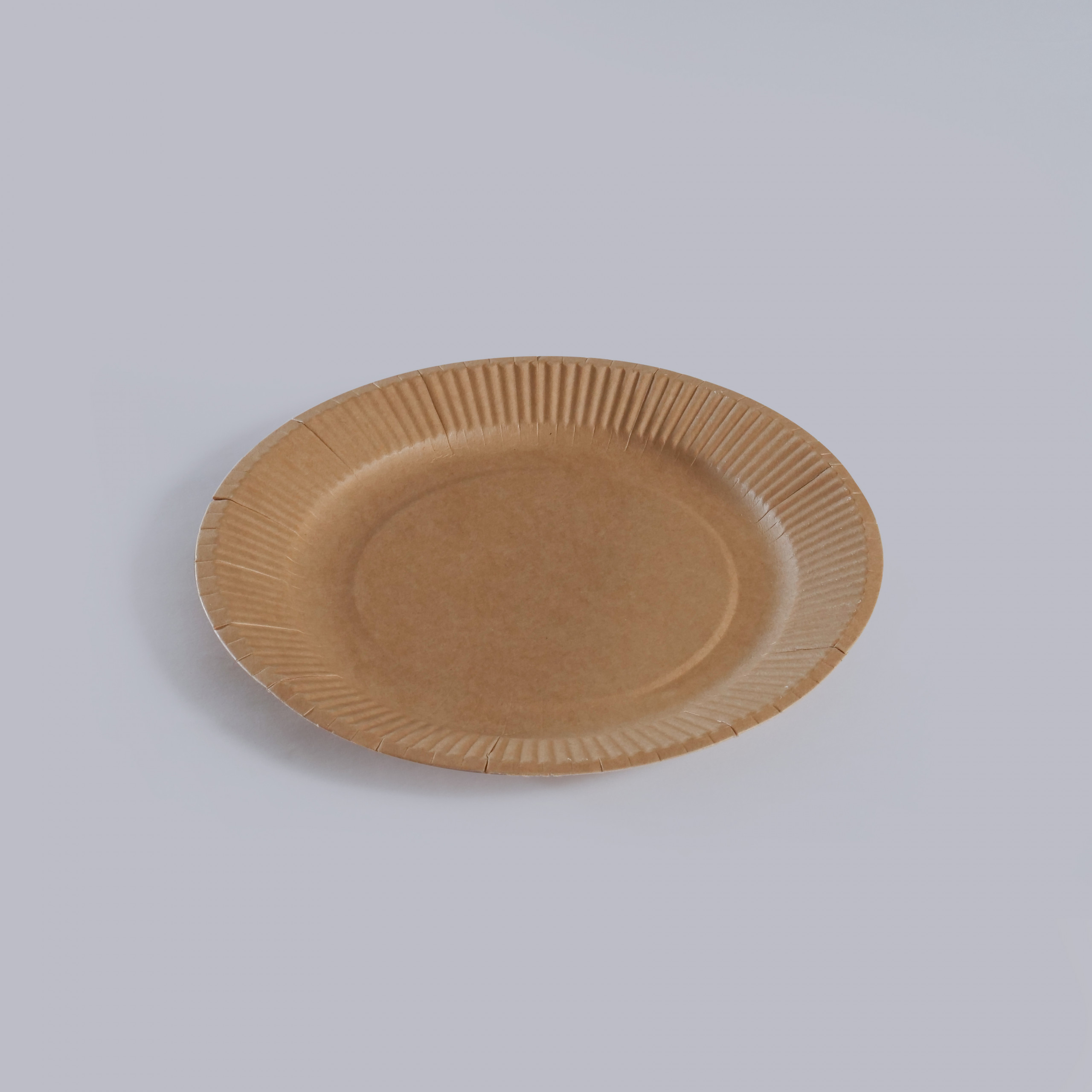 Printed Eco Friendly Disposable Plate